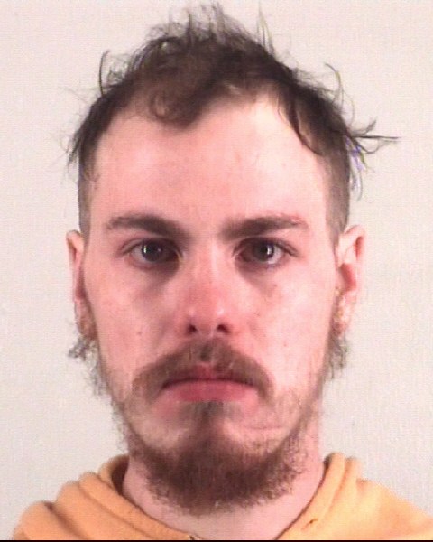 Mugshot of ETHAN LIVINGSTON