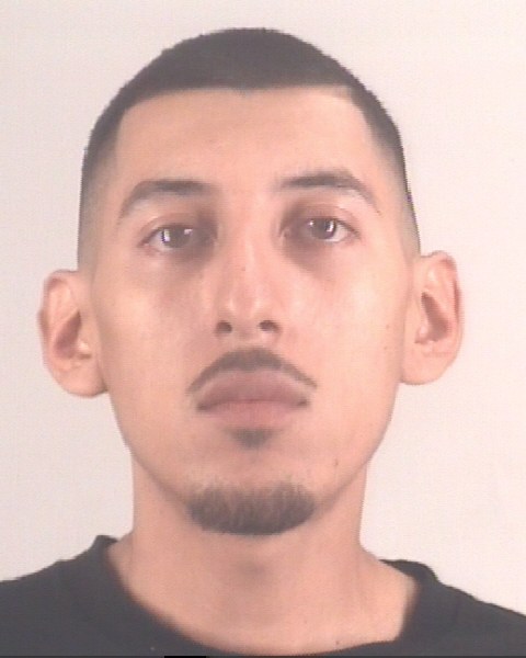 Mugshot of FERNANDO VERGARA
