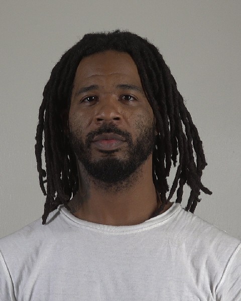 Mugshot of DANYA JOHNSON