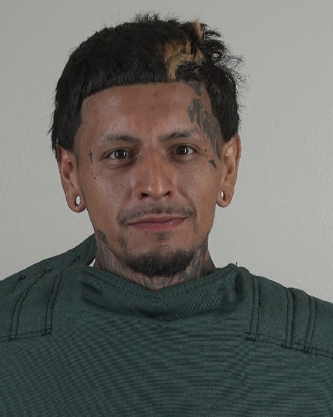 Mugshot of BRANDON OLIVO