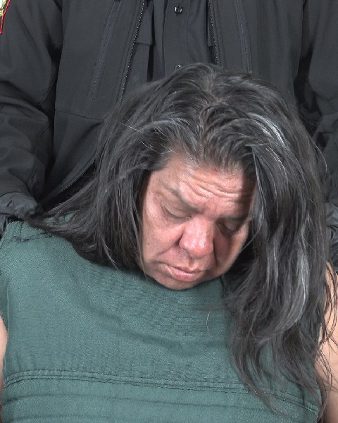 Mugshot of VIRGINIA SUAREZ