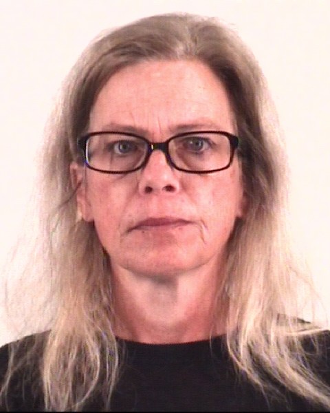 Mugshot of ANNA GODOY