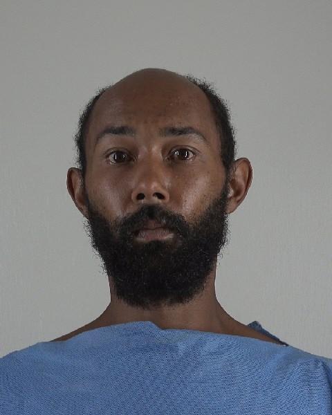 Mugshot of NELSON BOMOSEE