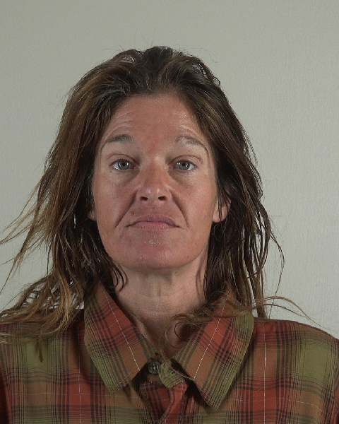 Mugshot of SHANNON COMER