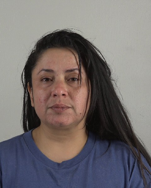 Mugshot of DUNIA FLORESMEJIA