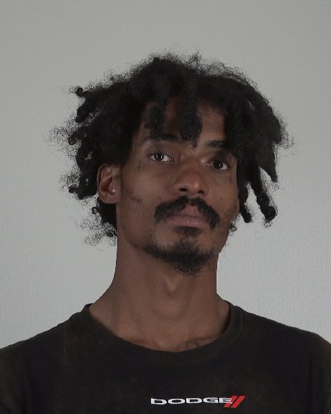 Mugshot of MATTHEW BOGAN