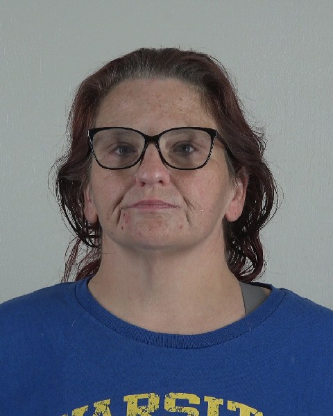 Mugshot of TAMMY DINGMAN
