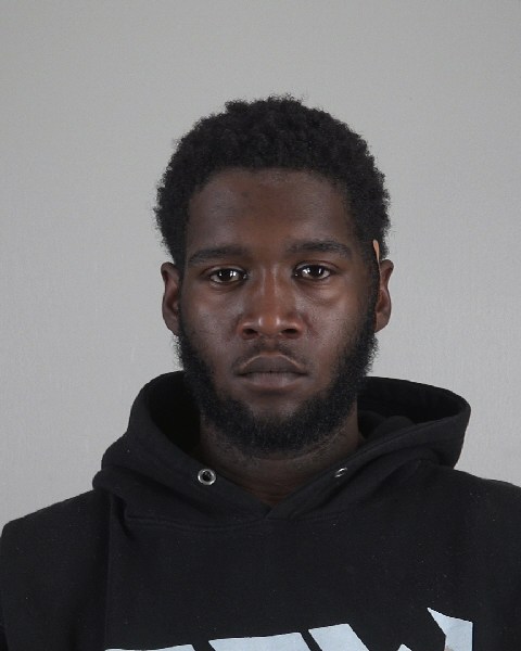 Mugshot of ROGER LOVE