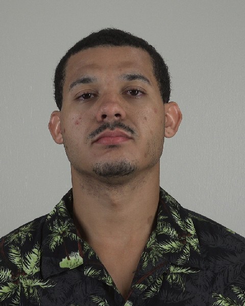 Mugshot of BRYAN RIVERA
