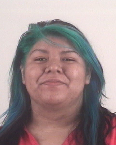 Mugshot of BRANDI MELENDEZ