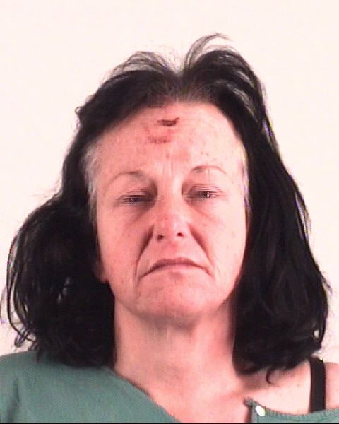 Mugshot of MICHELLE MILLER