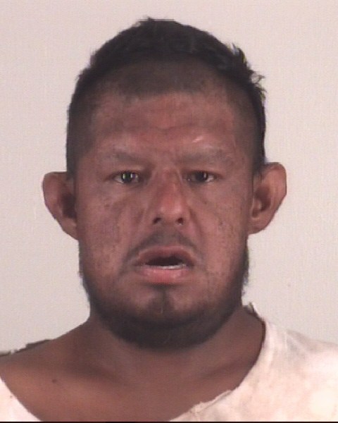 Mugshot of ROGELIO AREVALO