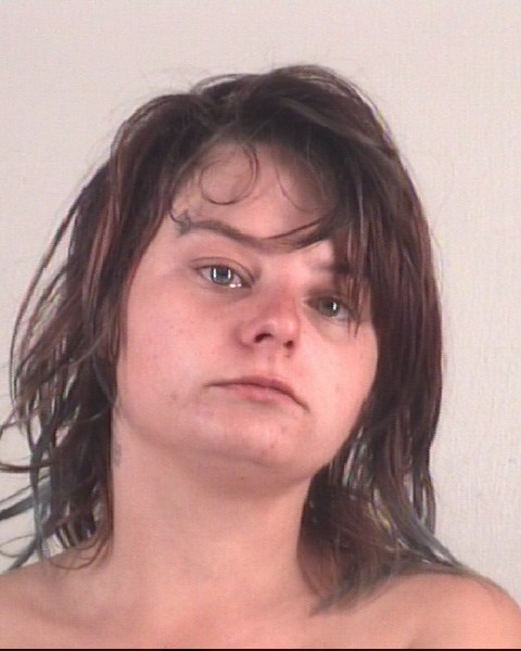 Mugshot of HALEY ROOKS