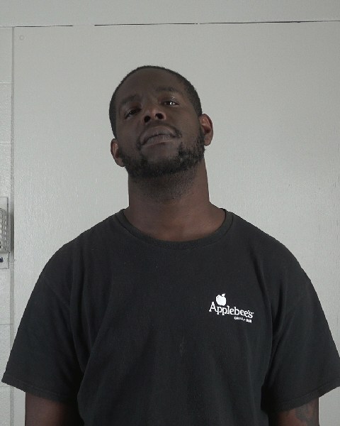 Mugshot of LEON LEWIS