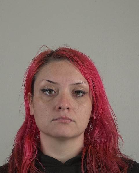 Mugshot of OFELIA VIGIL
