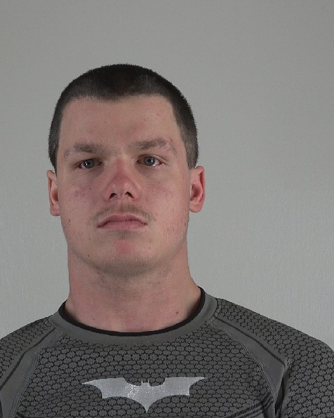 Mugshot of DAVID WEBB