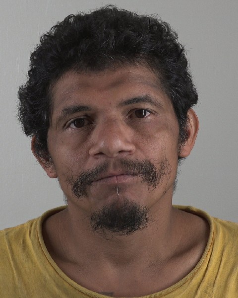 Mugshot of MIGUEL FLORES