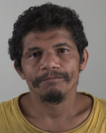 Mugshot of MIGUEL FLORES