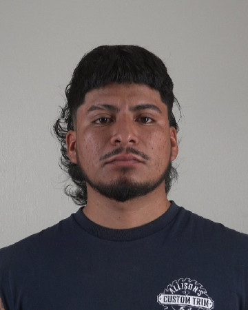 Mugshot of ALFONSO GRIMALDOACOSTA