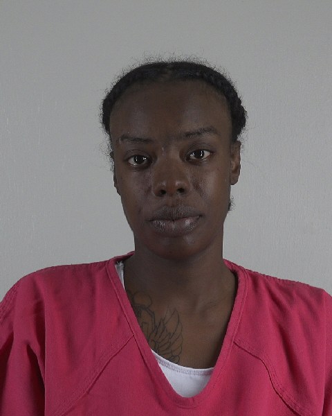Mugshot of ARIANA HOWARD
