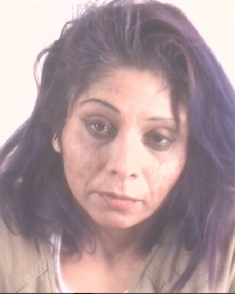 Mugshot of TERESSA YVANEZ
