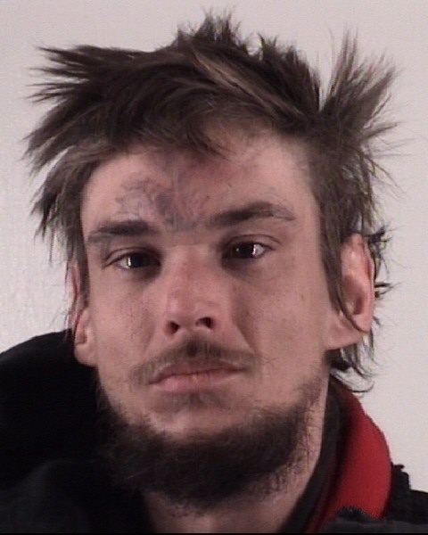 Mugshot of BRUCE FRIESENHAHN