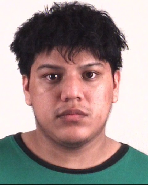 Mugshot of LUIS PEREZDEGUEVARA
