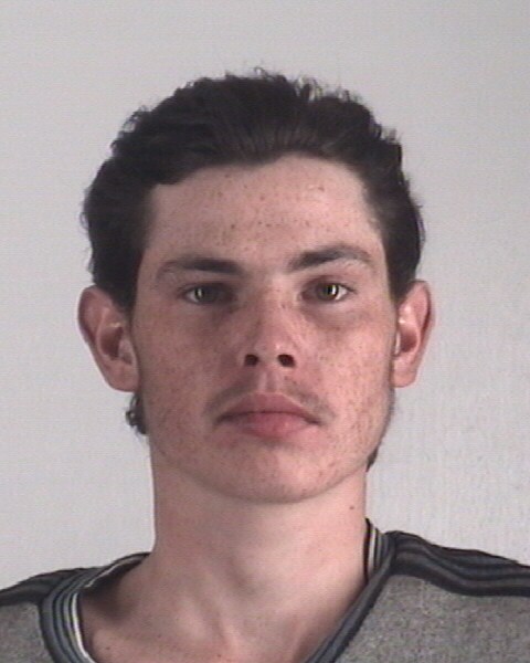 Mugshot of MICHAEL HERRING