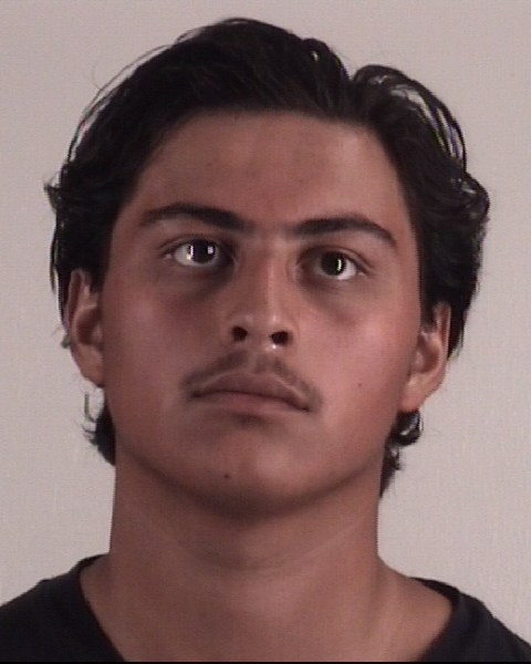 Mugshot of DOMENIC MANDEL