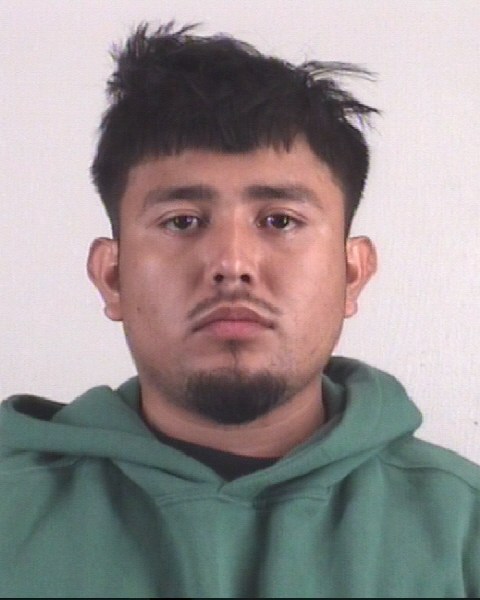 Mugshot of LUIS HERNANDEZ