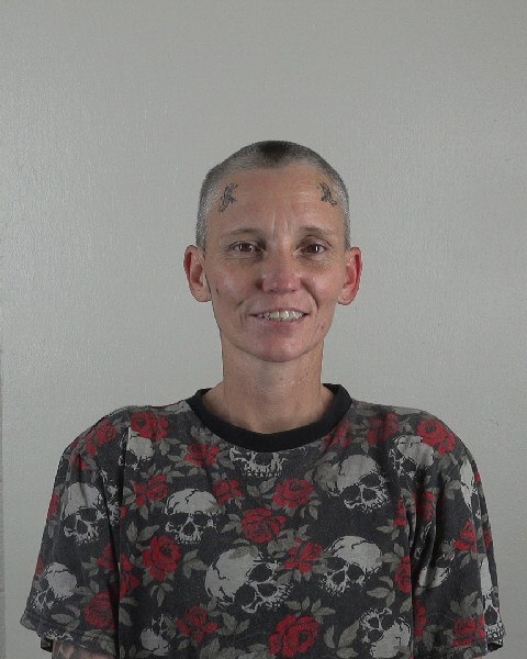 Mugshot of MICHELLE FLOTO