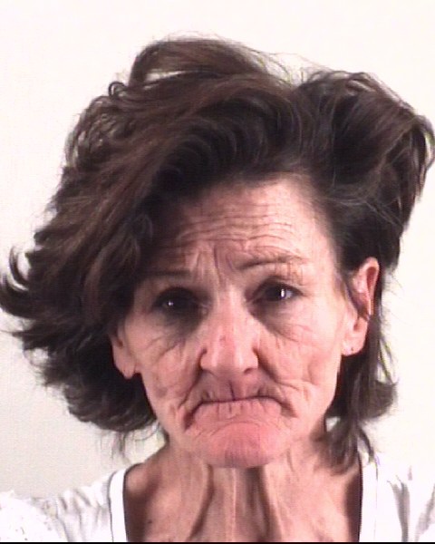 Mugshot of PATRICIA ARENDALL