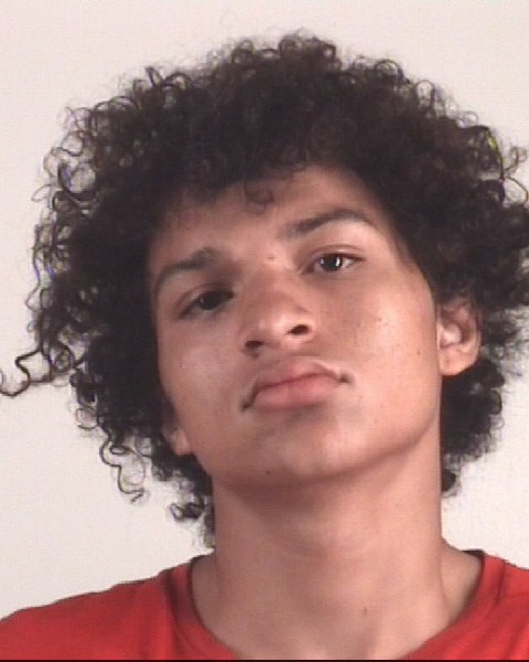 Mugshot of LOGAN REYES