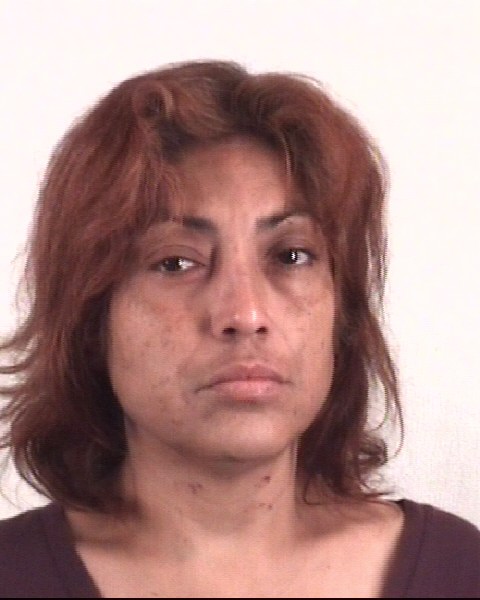 Mugshot of SUGUEY HERRERAVILLEGAS