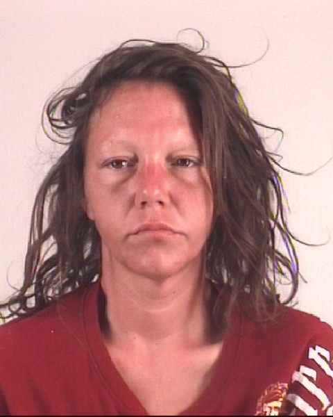 Mugshot of SARAH COLGIN