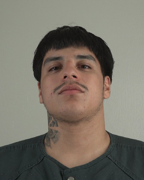 Mugshot of ANDRES ESTRADA