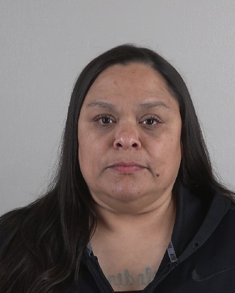 Mugshot of LISA AREBALO