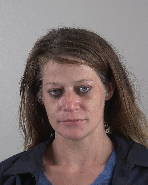 Mugshot of DEMI DOWD