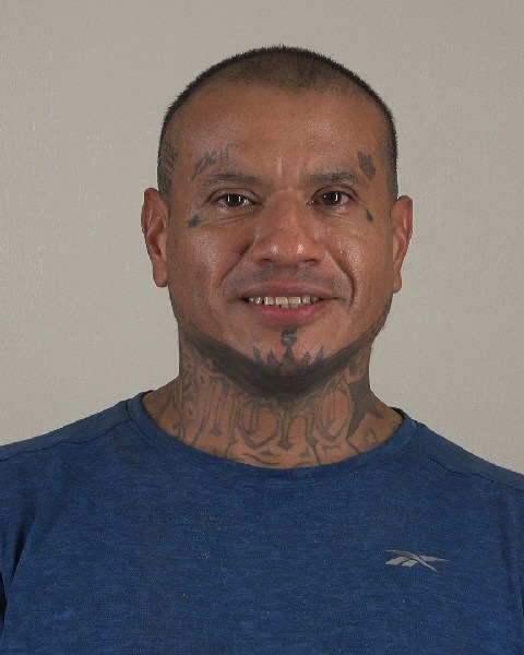 No mugshot available