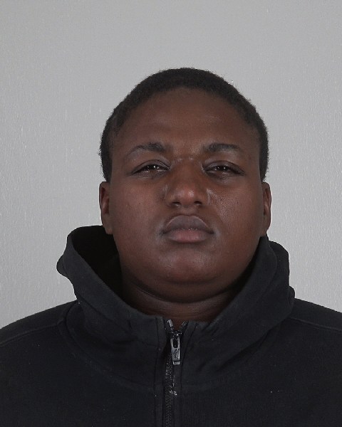 Mugshot of MAHOGANY WILLIAMS