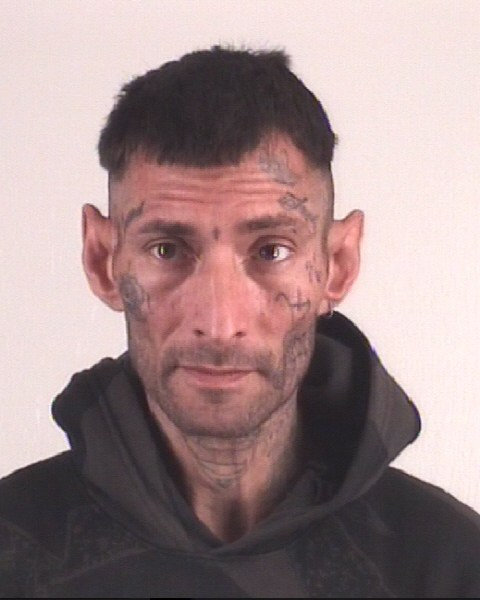 Mugshot of MARK CODY