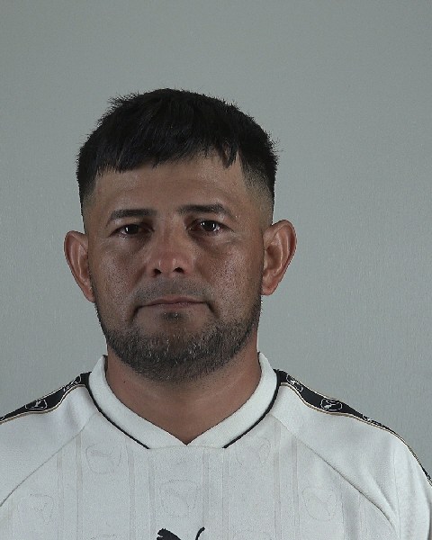 Mugshot of EDWIN FLORESVILLATORO