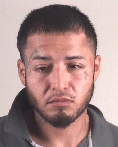 Mugshot of LUIS GARCIA