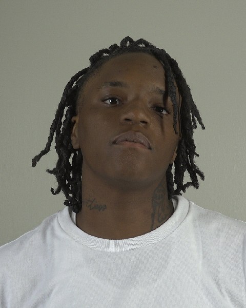 Mugshot of ERICA FLETCHER