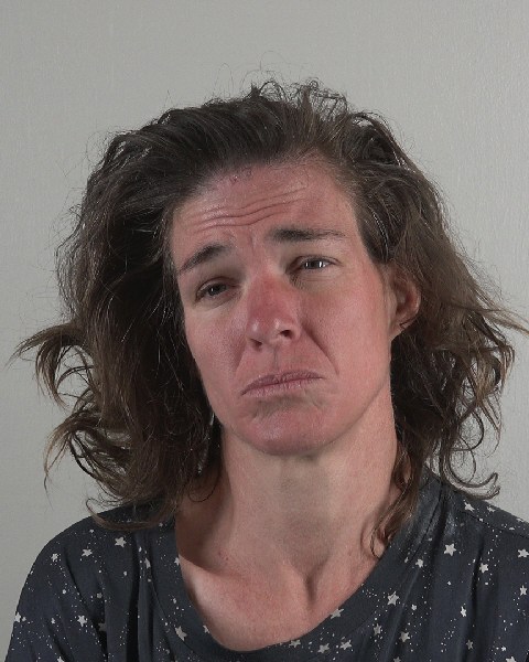 Mugshot of WENDI BROWN