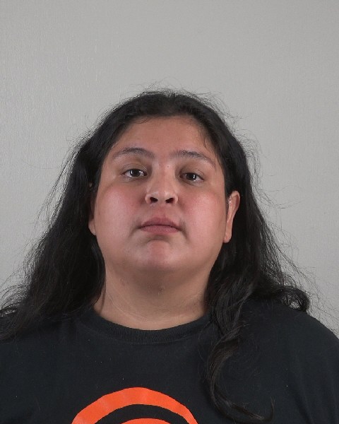 Mugshot of ADAMARIZ SANCHEZ