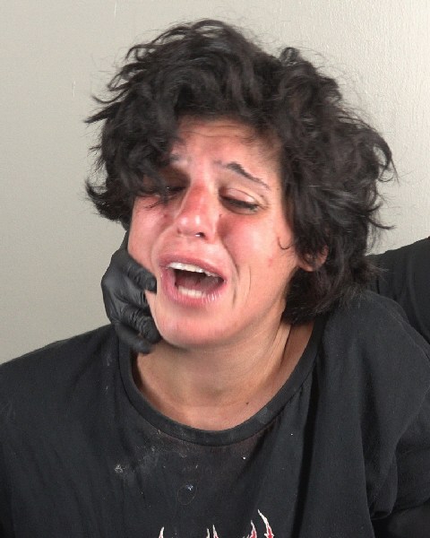 Mugshot of BARBARA APUZZO