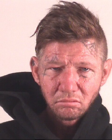 Mugshot of SEAN FLEMING