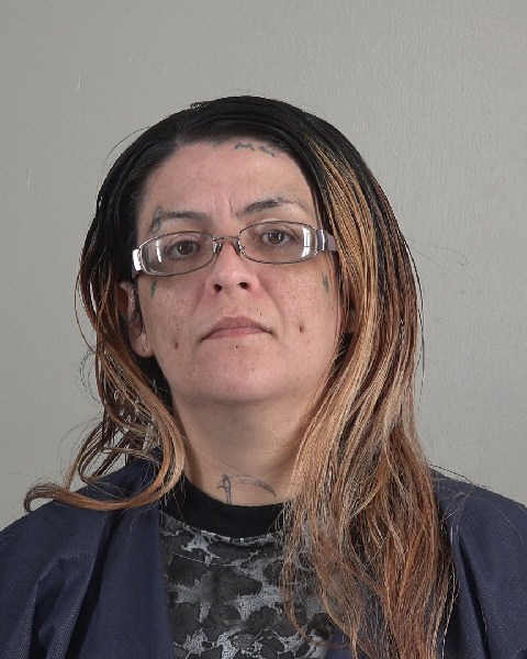 Mugshot of VANESSA COBB