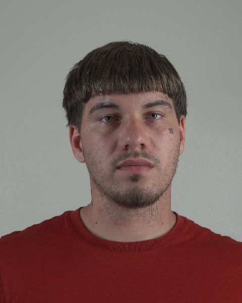 Mugshot of TRYTON BREWER